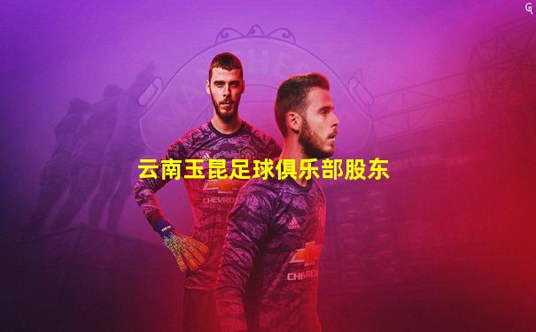云南玉昆足球俱乐部股东