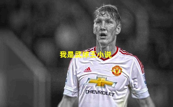 我是武球王小说