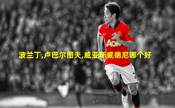 波兰丁,卢巴尔图夫,威亚斯威德尼哪个好
