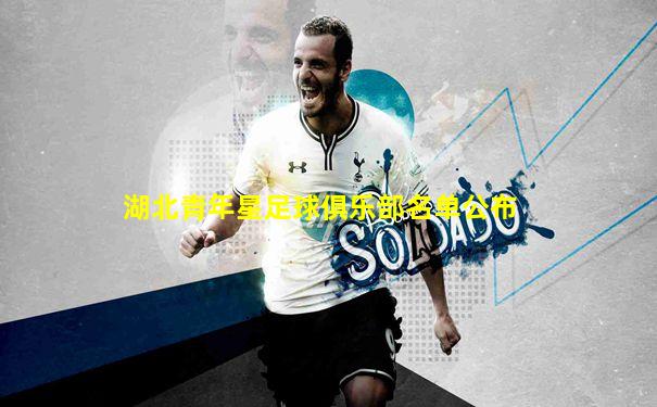 湖北青年星足球俱乐部名单公布