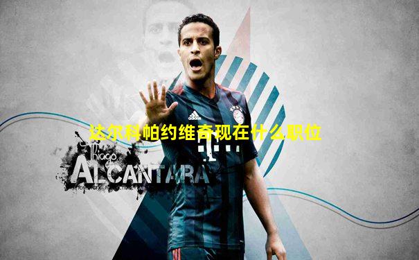 达尔科帕约维奇现在什么职位
